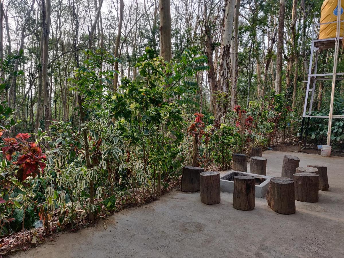Kaikane Homestay Madikeri Zewnętrze zdjęcie